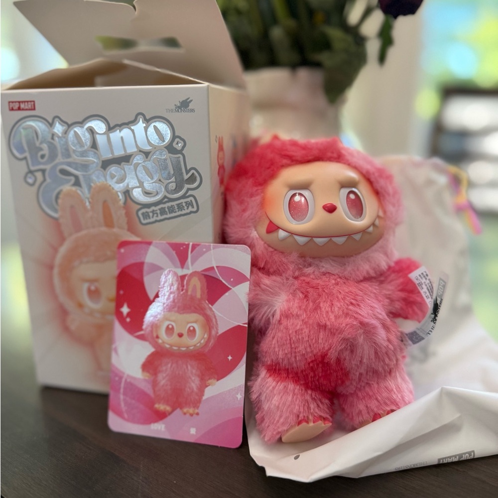 Labubu big into energy -Love!! Very cute but I got duplicate!!